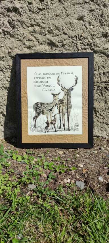 illustration aix les bains